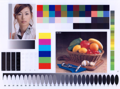 FastStone-Image-Viewer Adobe RGB (1998), WCS-профиль для условий отображения ICC.jpg