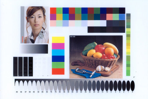 FastStone-Image-Viewer---Epson-Premium-Glossy-255-g.m2---Photo-Paper-Plus-Glossy-II.jpg
