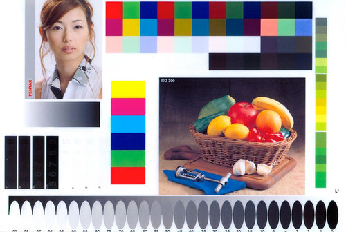 Photoshop---Epson-Premium-Glossy-255-g.m2---Photo-Paper-Plus-Glossy-II.jpg